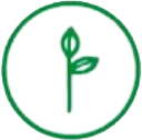 plant-based